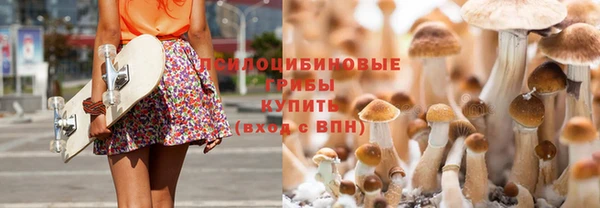 крисы Медвежьегорск