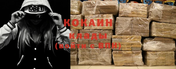 крисы Медвежьегорск