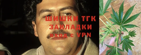 крисы Медвежьегорск