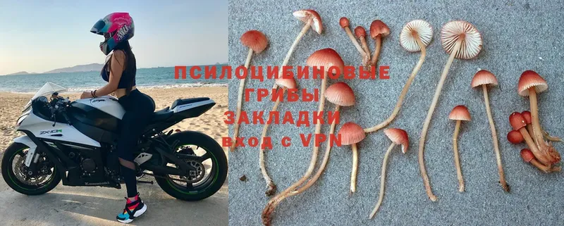 Галлюциногенные грибы MAGIC MUSHROOMS  Разумное 