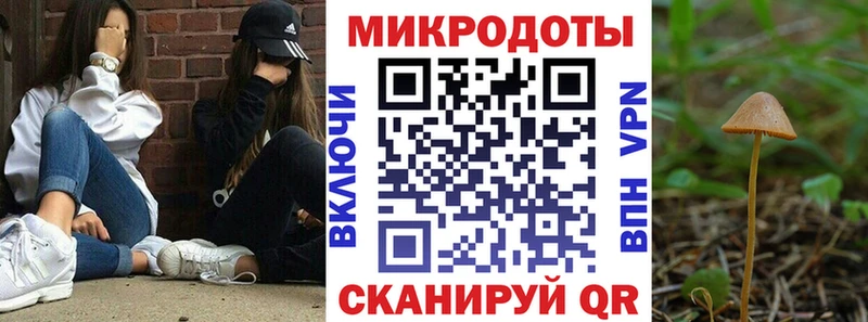 Псилоцибиновые грибы прущие грибы кракен онион shop официальный сайт Разумное